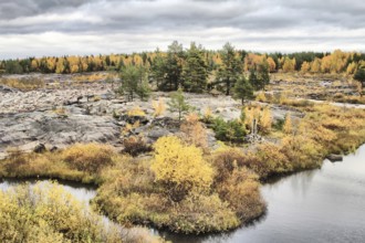 A rare opportunity to see dry rocky bottom of river and covered with yellow leaves Northern forest