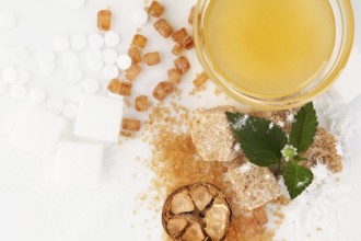 Various types of sugar - brown, white, crystal, powdered and cane sugar, artificial sweetener, monk