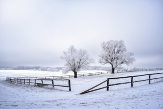 Snow-covered landscape in winter in Masuria in eastern Poland