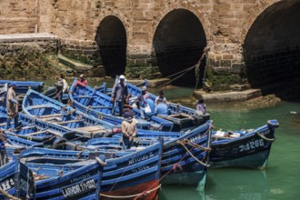 Classic Moroccan fishing boats, fishing port, Essaouira, morocco