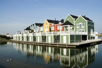 Houses in Holland with a carribean look
