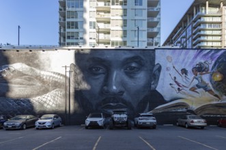 A picture of the Kobe Bryant Grana mural, featuring artwork by Odeith and Nikkolas Smith, created
