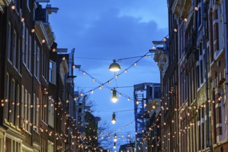 Street with decorative lights under a blue evening sky, festive atmosphere, Amsterdam, Netherlands