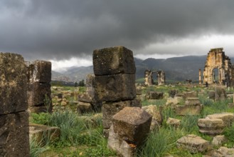 Volubilis, Morocco, 3 March, 2024: view of the Roman city ruins of Volubilis near Meknes in
