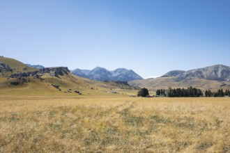 An image of a landscape scenery at Castle Hill New Zealand