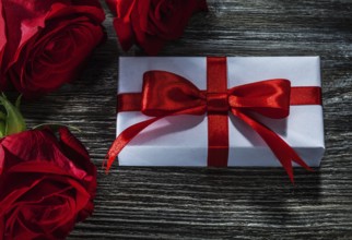 White present box natural red roses on wooden board