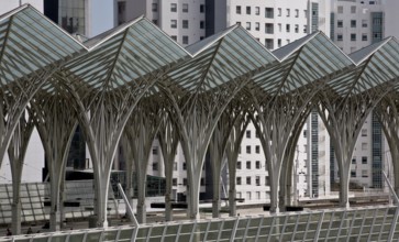 Lisbon, East railway station by Santiago Calatrava 1998