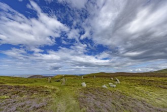 Druids Circle, stone circle in wide landscape with pastures in the mountains, Penmaenmawr,