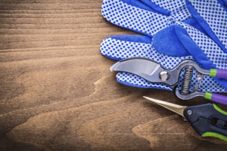 Safety gloves garden shears secateurs on wooden board gardening concept
