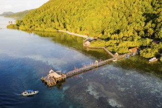 Jetty of the Raja Ampat Dive Lodge, Raja Ampat, West Papua, Indonesia