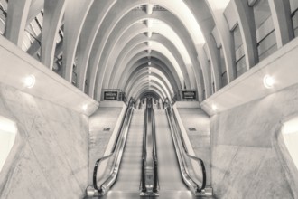 Interior escalator structure with vaulted ceiling and minimalist lighting, Liège-Guillemins railway