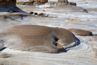 Soil formation, Virani, Kutch, Gujarat, India