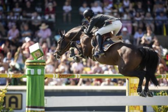 Harrie Smolders of The Netherlands and riding Uricas V/D Kattevennen compete in the first round of