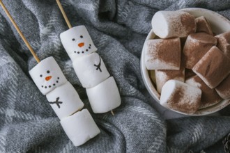 Two happy funny marshmallow snowmen. Marshmallow friends. Diy. Sweet treat for kids funny