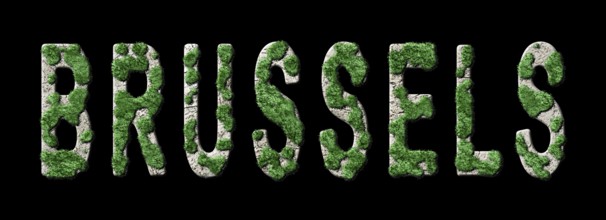 Brussels Reforestation and Biophilia, Brussels Green Typography
