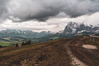 Panoramic view of the Langkofel Group from Seiser Alm in the Dolomites in South Tyrol, Italy