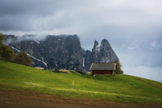 Panoramic view of Mount Sciliar from Alpe di Siusi in the Dolomites in South Tyrol, Italy