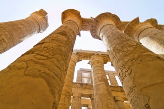 Africa, Egypt, Luxor, Karnak Temple Austria