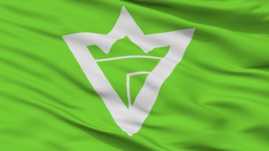 Iwanuma City Flag, Country Japan, Miyagi Prefecture, Closeup View
