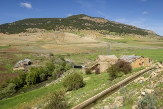 Traditional crops, Ifran National Park, Middle Atlas, Morocco