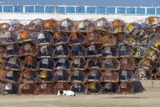 Stack of crab traps is Essaouira port, Morocco
