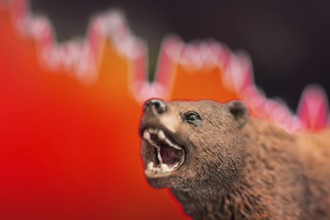 Stock crash with red chart drop in background and bear in front. Bear market trend concept