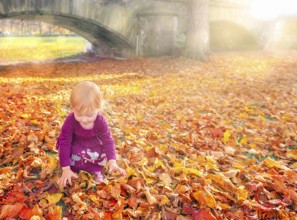 Happy little girl enjoying the fallen colorful leaves, stretching to grab them, under the warm