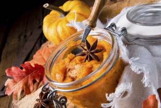 An autumnal rustic pumpkin