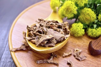 Spoon with dry roots of Rhodiola rosea, knife, fresh flowers Rhodiola rosea on a wooden tray on a