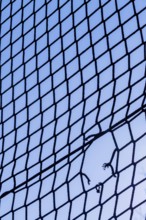 Hole in a net, symbolising imprisonment, obstacle, hope, damage Austria