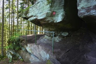 Premium hiking trail Black Forest Gourmet Trail, Baden-Württemberg, Germany, Premium hiking trail