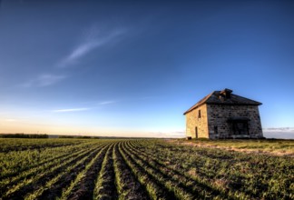 Sunset Light Saskatchewan Farm abandoned Stone House