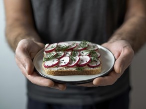 Hands takes plate with vegan sandwich. Healthy appetiezer - whole wheat bread toast with
