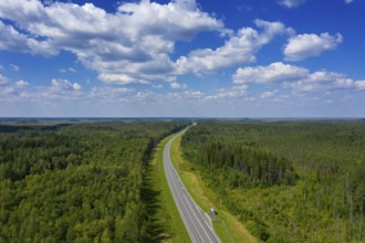 Aerial top view landscape with a country road in the forest at summer