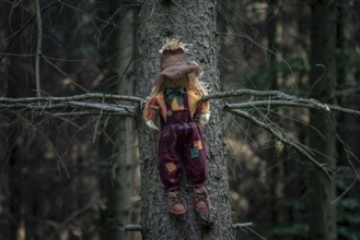 Shabby doll, stuffed with hay, a scarecrow, sitting between two branches of a tree without leaves,