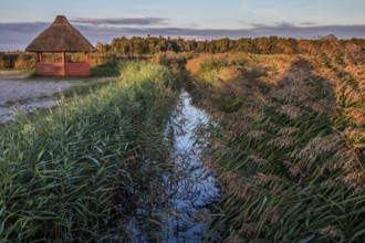 Tidal creek near Born (Fischland-Darß-Zingst peninsula)