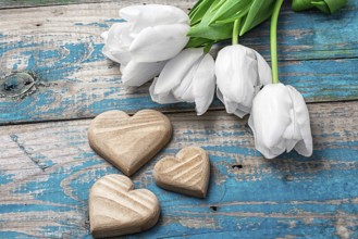 Hand-carved symbolic wooden heart on a background white Tulip