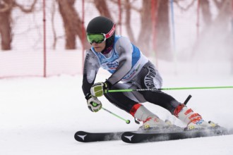 KAMCHATKA PENINSULA, RUSSIAN FEDERATION, APRIL 2, 2019: Russian Men's Alpine Skiing Championship,