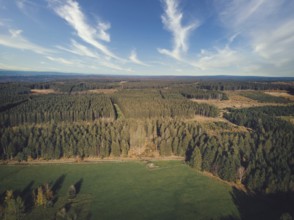 Aerial of pine forest and meadow and pasture in the Ardennes, Belgium. Beauty in nature