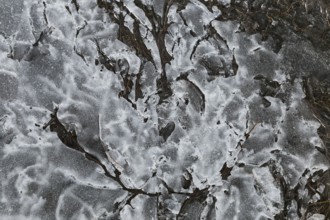 Nature, melting ice pattern, Province of Quebec, Canada