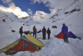 Kedartal Base Camp after snowfall, Kedartal, Uttaranchal Uttarakhand, India