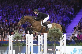William Greve of Netherlands competes in 1.60m FEI Jumping World Cup at Jumping Amsterdam in