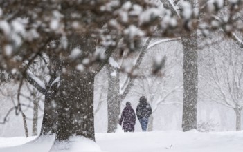 Heavy snow squalls of lake-effect snow falls over Springbank Park in London, Canada. Environment