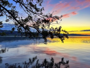 Colourful sunset on Lake Sempach with pink and blue sky reflections in the water, Sempach, Lucerne,