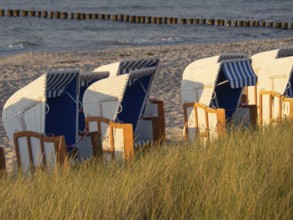 Row of beach chairs stands on the sandy beach overlooking the sea on a summer's day, zingst,