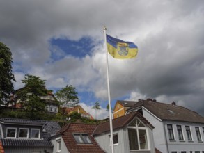 Flag flies over a residential neighbourhood with modern and traditional houses under a cloudy sky,
