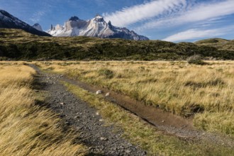Paine horns, Pehoe lake, W trekking, Torres del Paine National Park, National System of Protected