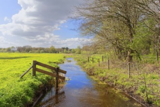 Dutch agriculture landscape with ditch and fench