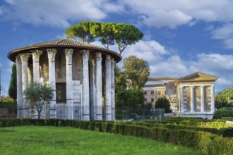 Temple of Hercules Victor (Hercules the Winner) is an ancient edifice located in the area of the