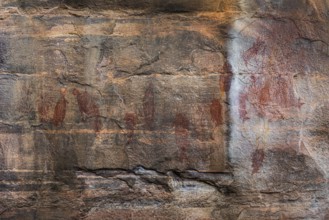 Aboriginal rock carvings, Kadadu National Park, Ubirr, or Obiri Rock, Northern Territory, Australia